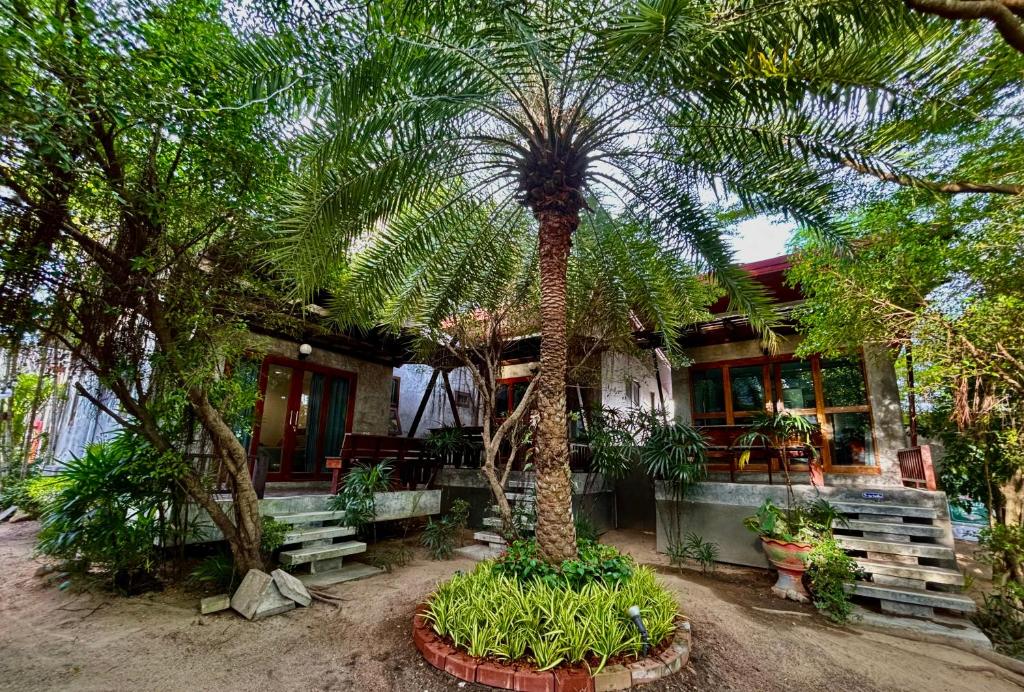 Chook Dee Resort phangan palm beach – Koh Phangan
